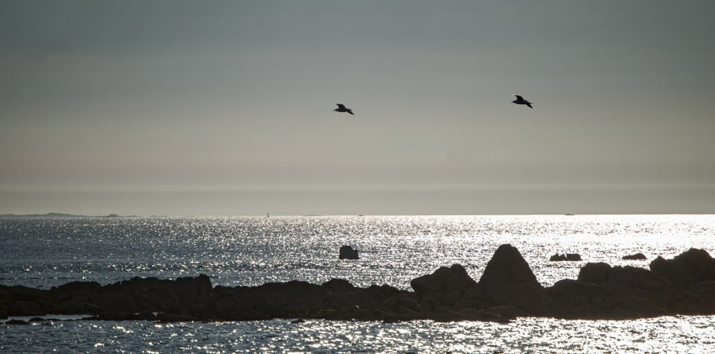 DSC_8521_Bretagne_1920x950